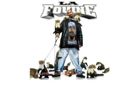 FOUINE